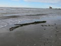 A panoramic view of the sea horizon and a beached trunk from caorle venice italy seafront beach Royalty Free Stock Photo