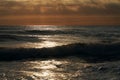 Panoramic view of the sea surface at sunset. Surf waves glisten in the sunlight. Picturesque natural background.