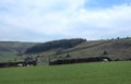 Panoramic view of sheep and new spring lambs grazing in fields surrounded by stone walls and hills in west yorkshire pennine Royalty Free Stock Photo