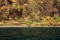 Panoramic view of sheer volcanic cliff rising above ocean.