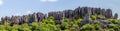 Panoramic view of Shilin limestone pinnacles Stone Forest - Yunn