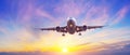 Panoramic view of the silhouette of an aircraft landing with extended landing gear, sky with different types of clouds gradient