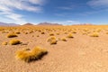 Panoramic view of Siloli Desert, in Bolivia