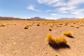 Panoramic view of Siloli Desert, in Bolivia