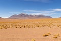 Panoramic view of Siloli Desert, in Bolivia