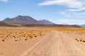 Panoramic view of Siloli Desert, in Bolivia