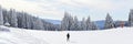 Panoramic view ski slope and female skier at winter mountain resort Pamporovo, Bulgaria. Winter holiday. Wide banner