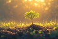 Panoramic view small tree flourishes in sunrise, green symbolism