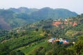 Small village, tea plantation and terraced fields in mountains of Thailand