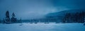 panoramic view of snow covered field with spruce forest on background