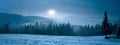 panoramic view of snow covered field with spruce forest on background