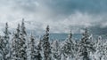 Panoramic view of snow covered slope. Winter landscape on sunny day with low clouds and trees Royalty Free Stock Photo