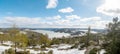 A panoramic view of the snow covered trees in the snowdrifts. Magical winter forest horizon Royalty Free Stock Photo