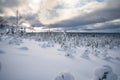 A panoramic view of the snow covered trees in the snowdrifts. Magical winter forest. Natural landscape with beautiful sky Royalty Free Stock Photo