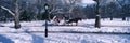 Panoramic view of snowy city street lamps, horse and carriage in Central Park, Manhattan, New York City, NY on a sunny winter day Royalty Free Stock Photo