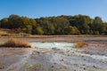 Panoramic view of Solfatara of Manziana sulphurous area, with a view of the fumarole in the ground