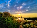 Panoramic view at a spectacular sunset on the beach at Veluwemeer, Gelderland province, Netherlands. Royalty Free Stock Photo
