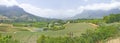 Panoramic view of Stellenbosch wine route and valley of vineyards, outside of Cape Town, South Africa Royalty Free Stock Photo
