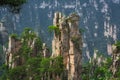 Stone pillars of Tianzi mountains in Zhangjiajie