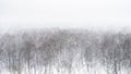 Panoramic view of strong snowfall over city park Royalty Free Stock Photo