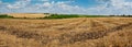 stubble of wheat field, grain harvest, hills on a background of blue sky with clouds. The concept of agricultural Royalty Free Stock Photo