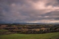 A panoramic view of the Studland and Godlingston Heath in Dorset Royalty Free Stock Photo