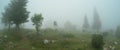 Panoramic view of summer morning fog cloud in mountain scenery Royalty Free Stock Photo