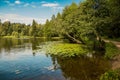 Panoramic view of the Summer Park with a beautiful reflection of the water Royalty Free Stock Photo