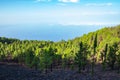 Panoramic view from the summits of the Ruta de los Volcanes