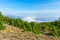 Panoramic view from the summits of the Ruta de los Volcanes