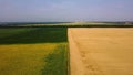 Panoramic view sunflower field, big yellow wheat field and fields with other Royalty Free Stock Photo