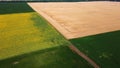 Panoramic view sunflower field, big yellow wheat field and fields with other Royalty Free Stock Photo