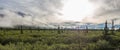 Panoramic view of sunrise over Denali National Park Royalty Free Stock Photo