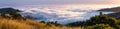 Panoramic view at sunset of valley covered in a sea of clouds in the Santa Cruz mountains, San Francisco bay area, California Royalty Free Stock Photo