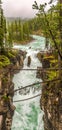 Panoramic view of the Sunwapta falls gorge in Jasper National Park - Canadian Rocky Mountains Royalty Free Stock Photo