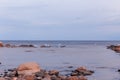 Panoramic view, swans on the stone coast of the Baltic Sea in calm spring weather. Latvia, Europe