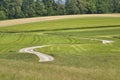 Panoramic view of swiss alps with green fields on the hills around Bern Royalty Free Stock Photo