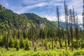 Panoramic view of Tatra Mountains across Bialka Tatrzanska river with slops and forest seen from the track to Morskie Oko lake in