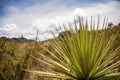 Panoramic view of the Teatinos paramo Royalty Free Stock Photo