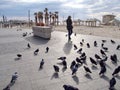 Panoramic view of Tel-Aviv beach, Mediterranean sea Royalty Free Stock Photo