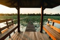 Panoramic View of Thai style waterfront pavilion in Silhouette. Wooden Pavilion Among The Lotus Farm. pavilion at sunset Royalty Free Stock Photo
