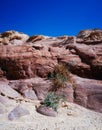 Holy Land Series - Timna Valley 23 Royalty Free Stock Photo