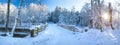 Panoramic view to bridge in winter Royalty Free Stock Photo