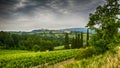 A panoramic view to the city San Gimignano, Tuscany, Italy Royalty Free Stock Photo