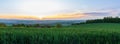 Panoramic view to nice wave green field with trees and city Ceske Budejovice at sunset. Czech republic