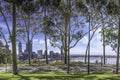Panoramic view to the Perth city center through eucalyptus alley at Kings Park Royalty Free Stock Photo