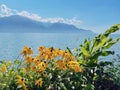 Panoramic view to the shore of Lake Geneva and Swiss Alps in Montreux city Royalty Free Stock Photo