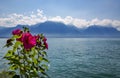Panoramic view to the shore of Lake Geneva and Swiss Alps in Montreux city Royalty Free Stock Photo