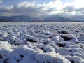 Panoramic view to the Swabian highlands in wintertime Royalty Free Stock Photo