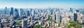 Panoramic view to the Tokyo, Japan from air Royalty Free Stock Photo